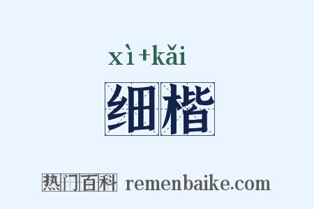 细楷是什么意思的图片